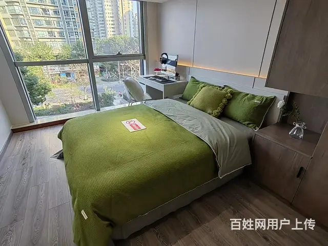 滨江中医药大学旁双地铁口总价25万平层精装公寓 - 图片 2