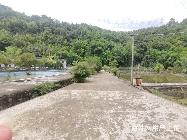 旺铺居）北川农家乐对外转让出售冬暖夏凉 - 图片 8