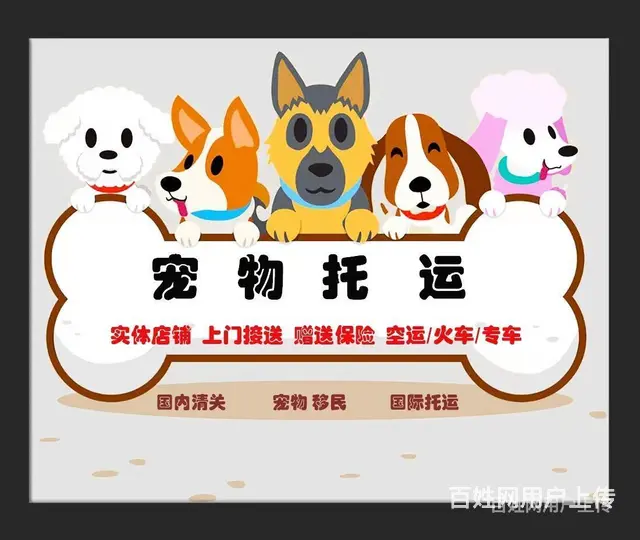 推荐） 随州宠物托运到全国）（猫狗）邮寄快递（宠物活体运输） - 图片 3
