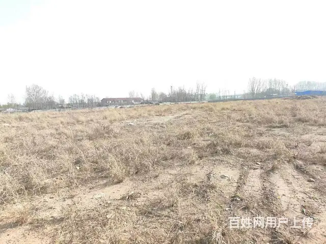 30亩硬化场地地出租（三环北路附近） - 图片 5