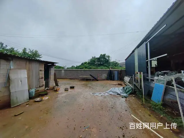 （老板本人）开福区捞刀河中青路附近独门独院场地出租 6594 - 图片 3