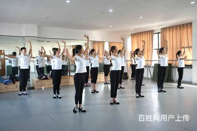 塔湾肚皮舞印度舞古典舞中国民族舞蹈 - 图片 1