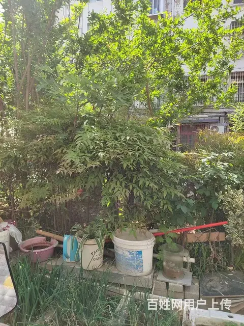 地铁房王场新村小区(鼓楼) 普通住宅 简单装修 - 图片 5
