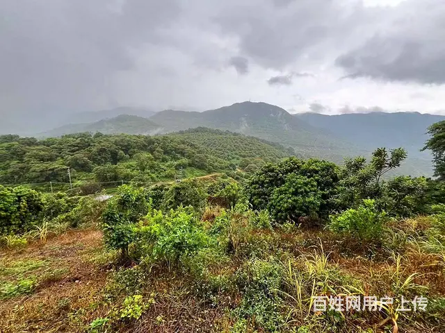从化区温泉旅游区附近70亩果园休闲庄园整体转让 - 图片 6