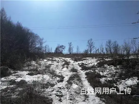 丰满区白山乡阿什三队厂房土地出租出售 - 图片 8
