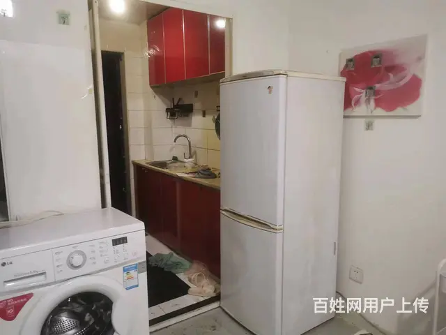 振兴区桃源逸景 一室一厅一卫中等装修 - 图片 3