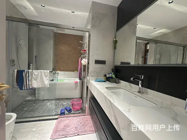 新上外滩首 府下叠挑空客厅现代轻奢豪装没咋住带花园，双车位 - 图片 8