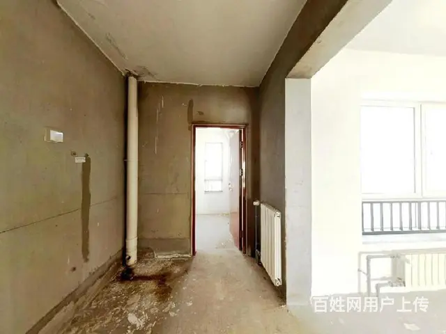 碧桂园A1大三居，东打头毛坯，耳朵户型，两梯两户 - 图片 3
