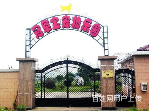 常州宠物寄养一犬一舍 - 图片 1