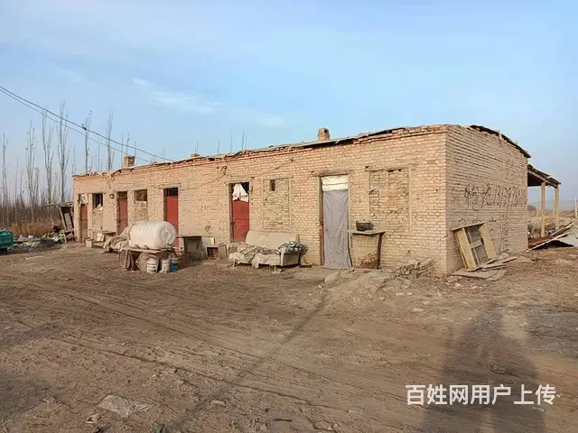 B个人一阿瓦提香梨园对外出售 - 图片 1