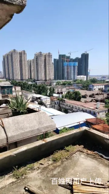 新尚路，海港小区，本人业主 - 图片 1