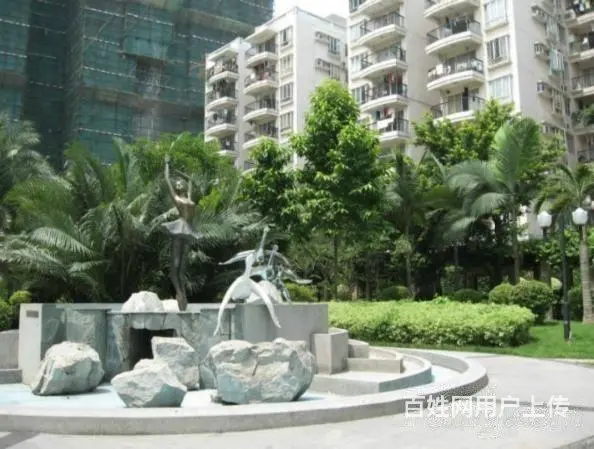白天鹅花园 朝花园 向重逢中去寻你 一丝丝暖在心底 - 图片 10