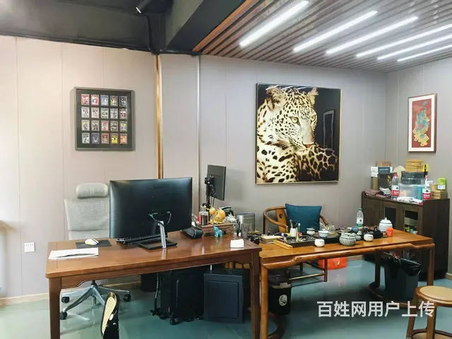 （51旺铺推荐）金鸡岭260平临街铺面出租 - 图片 2