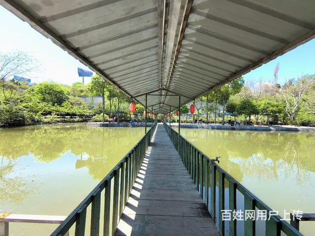 旺铺居）房东直租农家乐招餐饮项目环境优美绿树成荫鱼塘环绕 - 图片 9