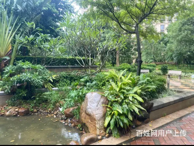 海口秀英天伦誉海湾两房出租 - 图片 3