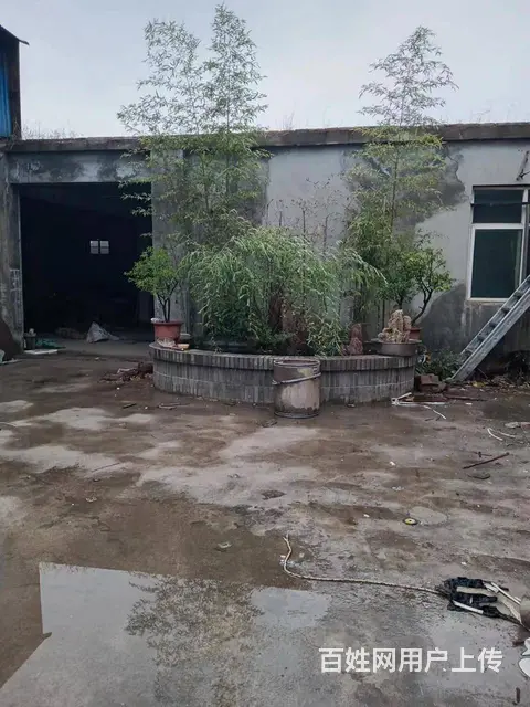 高新区厂房出租 - 图片 4