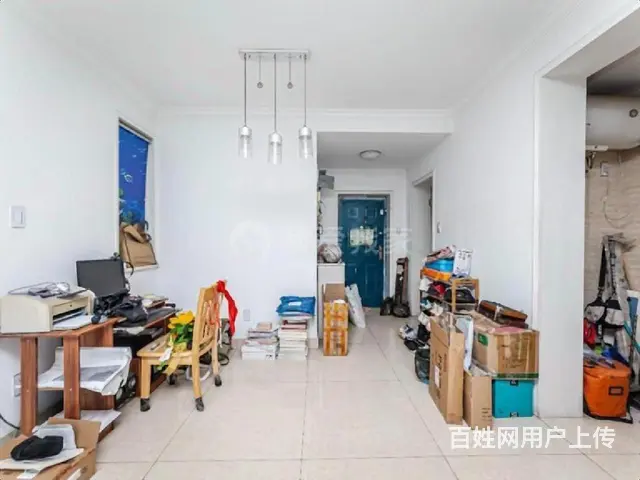 店长力荐！送车位 送储藏室  滨江  的版块   的教育 - 图片 5