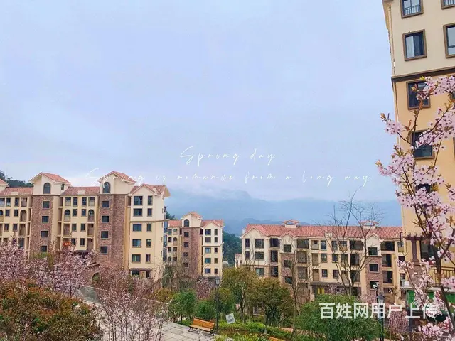 四面山后山避暑房 - 图片