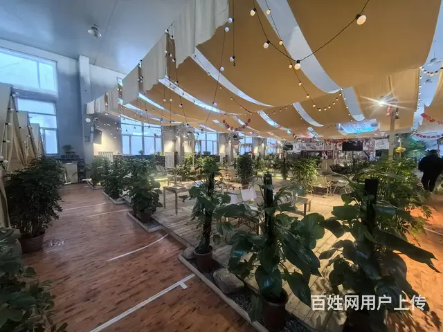 浑南白塔堡露营主题烧烤店出兑： - 图片 2