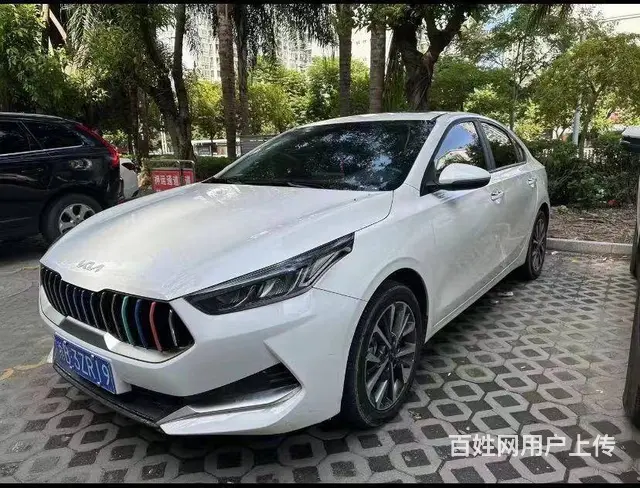 起亚K3 2019款 K3 PHEV 1.6 双离合 舒适版 - 图片