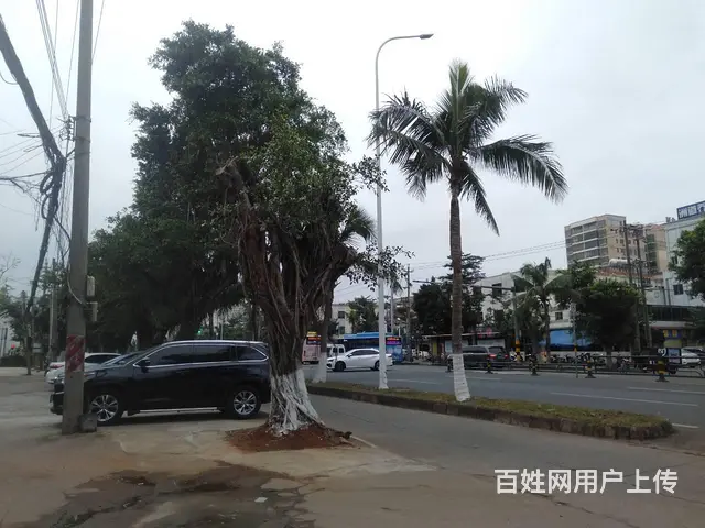 （51旺铺推荐）新大洲大道25平临街甲子粉店转让 - 图片 2