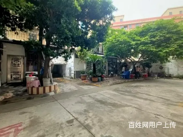 【搞定了！】学位房、低楼层、采光好、南北对流、布局合理 - 图片 3