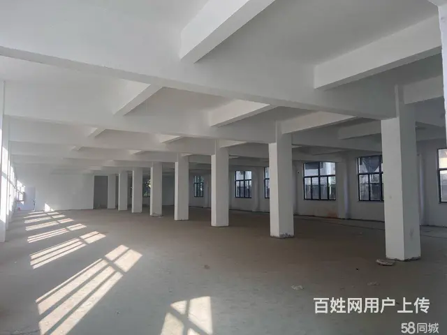 火炬园马垅4层3600平可分割 - 图片 1