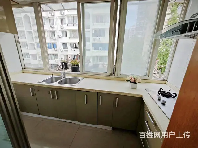 嘉绿西苑 稀缺南 不后悔的选择 - 图片 9