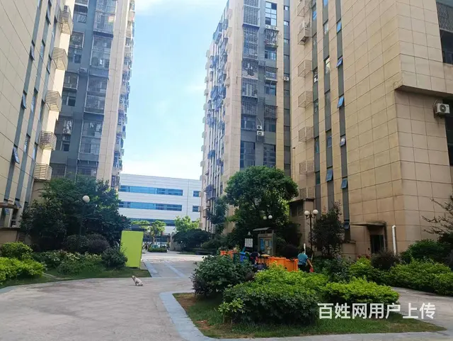 海沧阿罗海附近达达中心 普通住宅2厅 精装修 - 图片 7