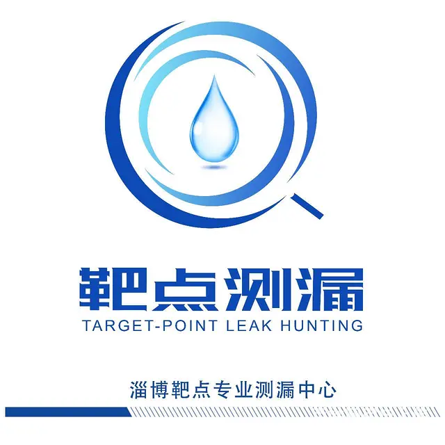 【靶点测漏】淄博查漏水测漏精准找漏漏点检测仪器测漏 - 图片 1