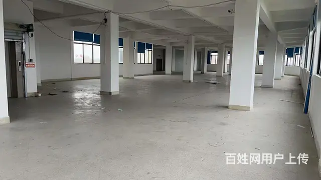 D9 I59 O5O9 6588罗山街道后林延林东路厂房 - 图片 4