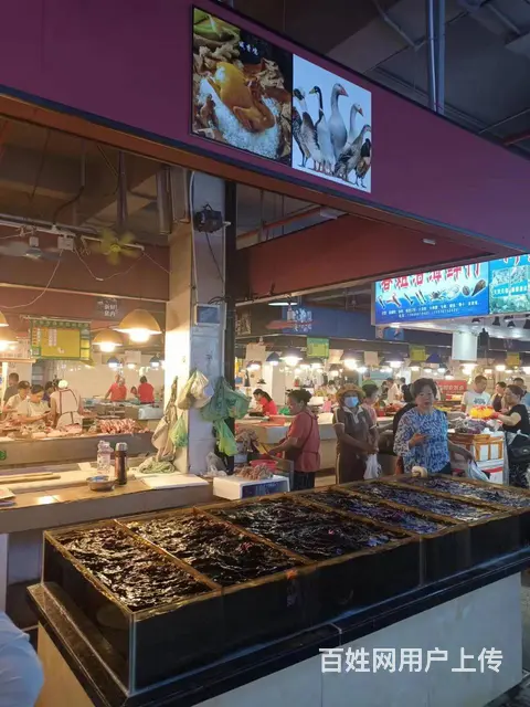 （51旺铺推荐）秀英区港丰市场全新海鲜6平档口转让 - 图片 2