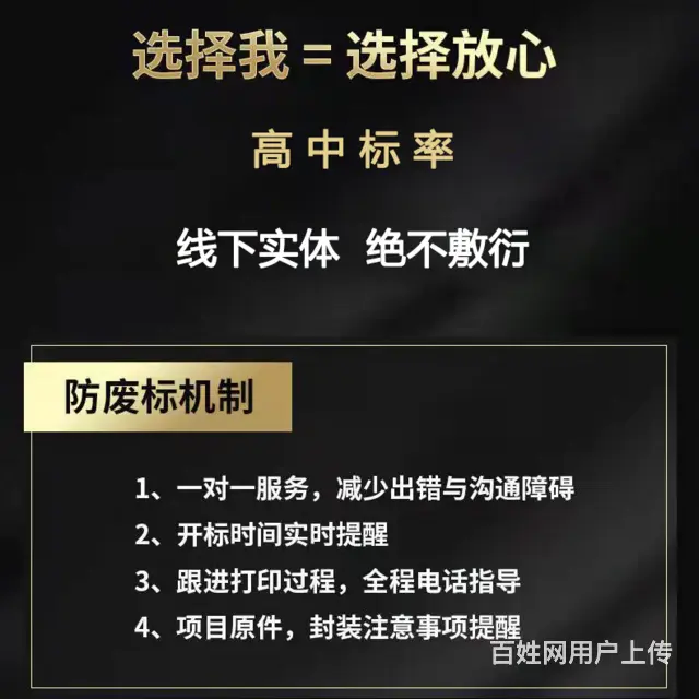 专业代写标书 投标文件制作 电子投标 电子标书上传 - 图片 2