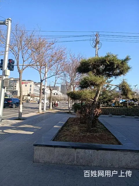 急找个能过日子的女性为伴 - 图片