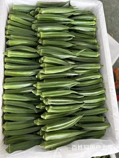 厦门食材供应、蔬菜配送、食堂承包。 - 图片 3