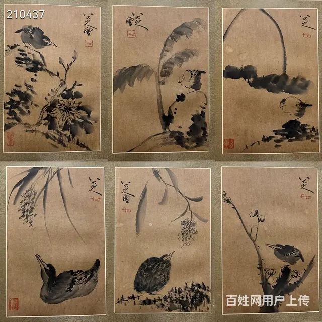 八大 精品册页 画心33.5✖️22cm✖️6开 - 图片 2
