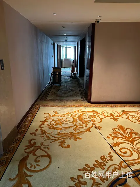 专业永州道县宁远片区各大酒店工厂地毯清洗，地板清洗 - 图片 3