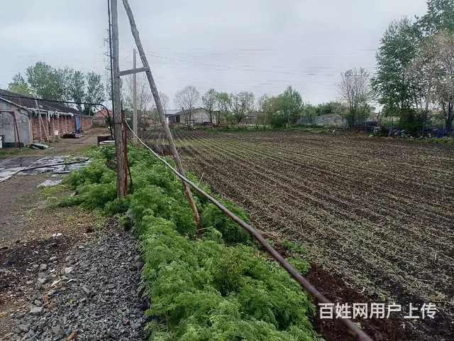 平房出卖 - 图片 4