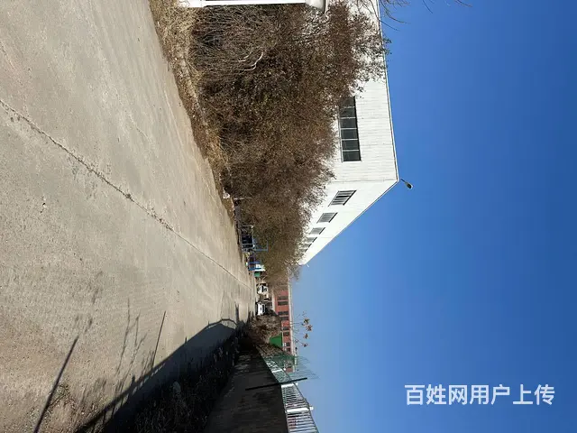 （城市在线找房免费）铜山新区标准钢结构厂房出租 - 图片 5