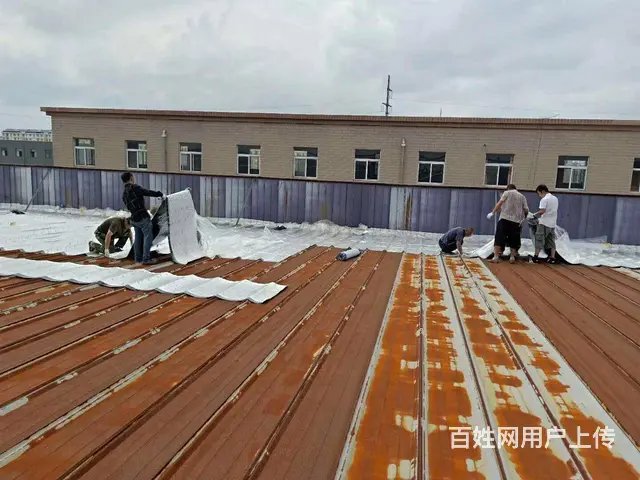 大悟房屋漏水维修-屋顶漏水维修 - 图片