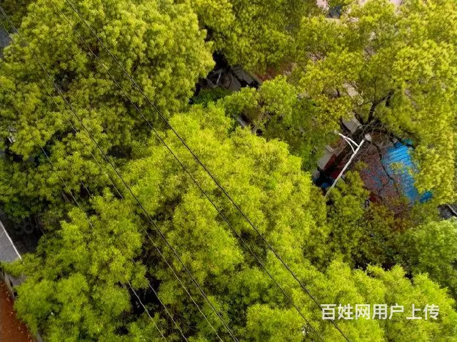 先锋路岳屏广场附近3室2厅精装修家具家电齐全月租1300 - 图片 9