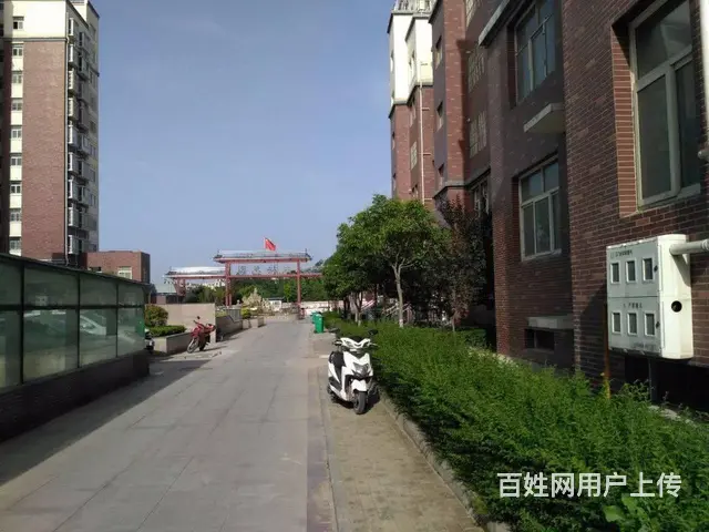 陕州区温塘政法花园新房出售（送地下室、送花园） - 图片 5