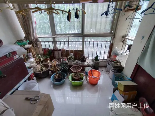 实验小学实验中学 北环路望山豪庭 3楼 南北通透 - 图片 3