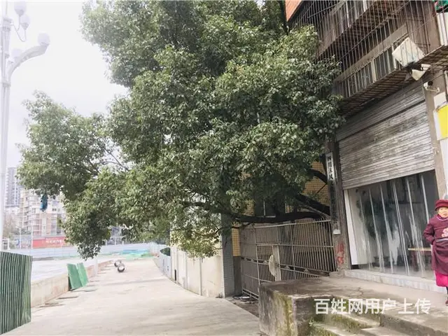（同城搜铺网）西外罗浮阳光150平旺铺转让出租(可分租) - 图片 3