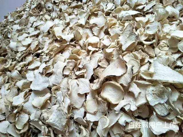 西部大旗魔芋片烘干房，全自动控制方式，性能稳定 - 图片 5