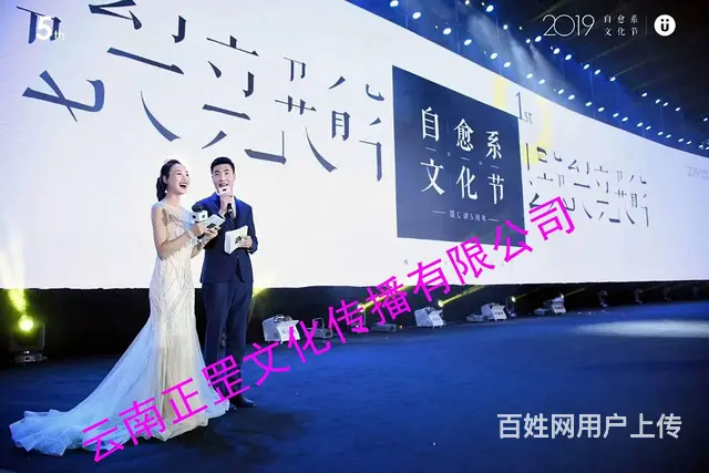 活动策划、会场布置、灯光音响、LED屏、演出表演 - 图片 9
