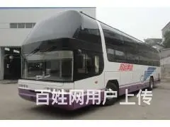 常州到瑞安汽车宠物托运18861131566 - 图片 1