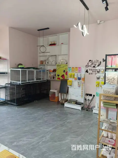 【搞定了！】香坊区进乡街宠物店出兑 - 图片 7