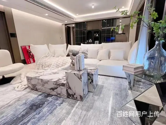 东辰雅园 2室2厅1卫 配套齐全 南北通透 精装修 拎包入住 - 图片 1