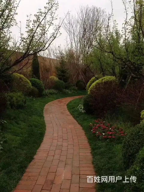 辽宁沈阳草坪种植季节价格啊卖吉林小区绿化内蒙古绿化 - 图片 10